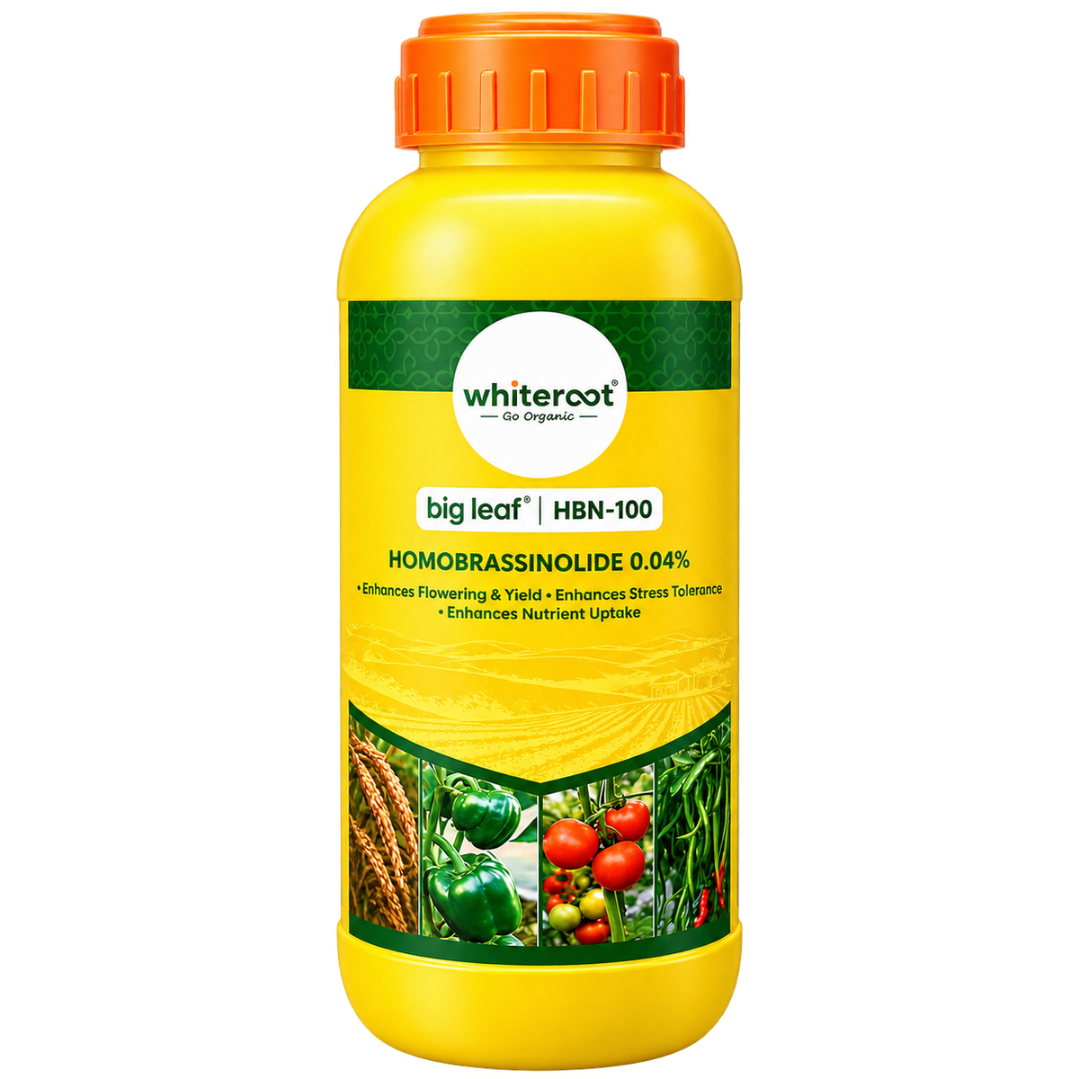 big leaf HBN-100