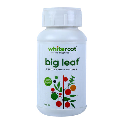 big leaf - Fruit and Veggie Booster - 250 ML