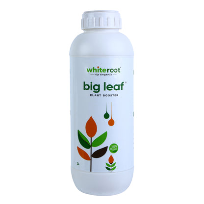 big leaf - Plant Booster