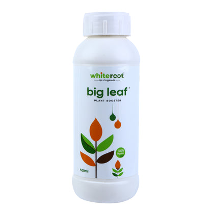 big leaf - Plant Booster