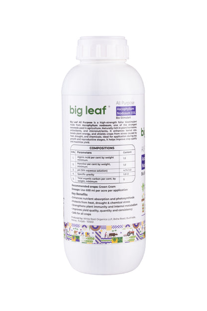 big leaf - All Purpose - Ascophyllum Nodosum 15%
