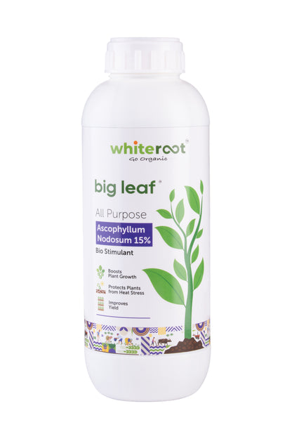 big leaf All Purpose Liquid Fermented Organic Manure