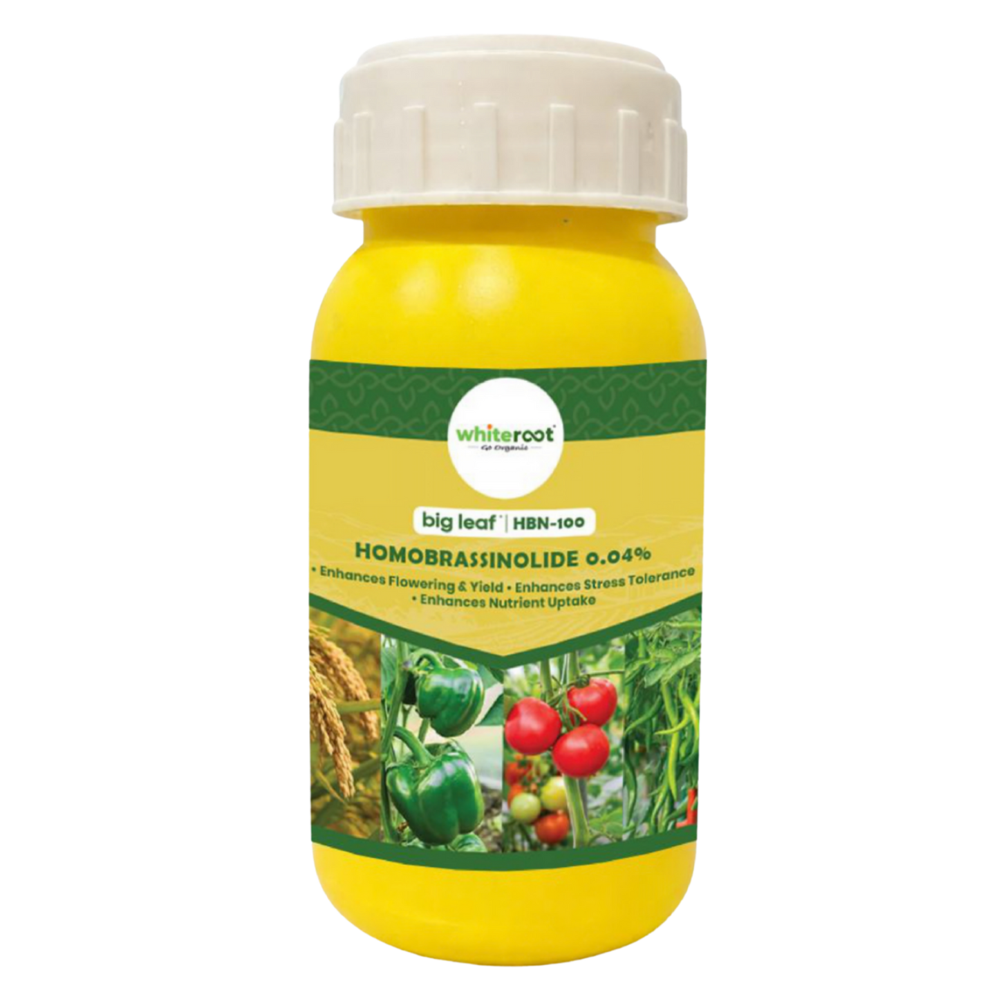 big leaf - HBN 100 Homobrassinolide 0.04% (Liquid)