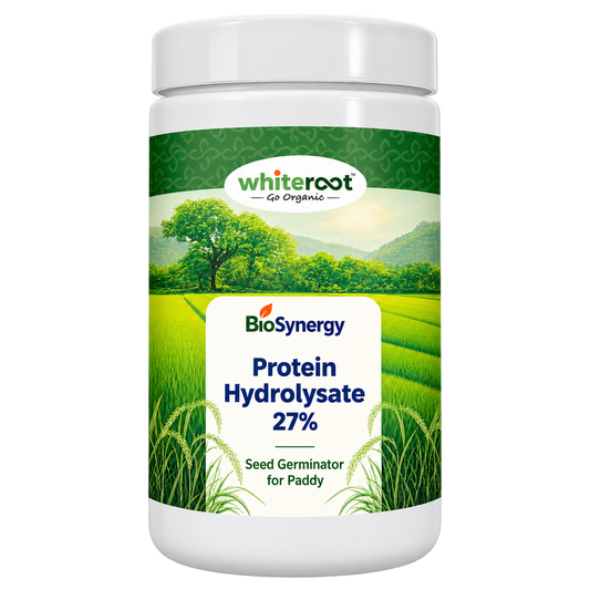 Protein Hydrolysate 27%