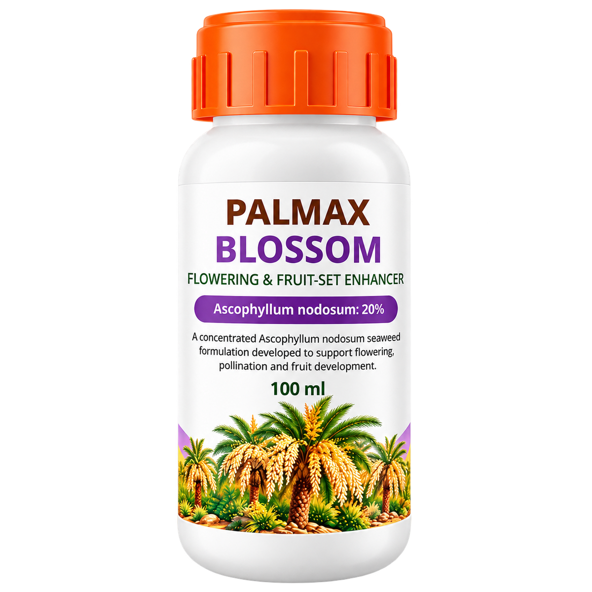 PALMAX BLOSSOM