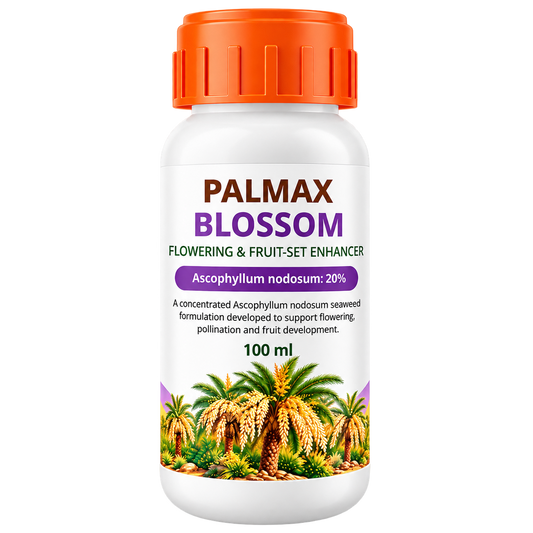 PALMAX BLOSSOM