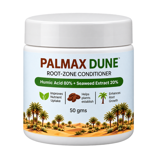 PALMAX DUNE