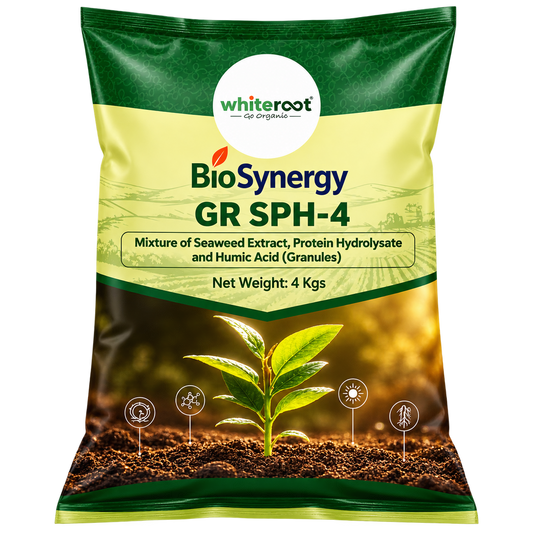 BioSynergy- GR SPH 4