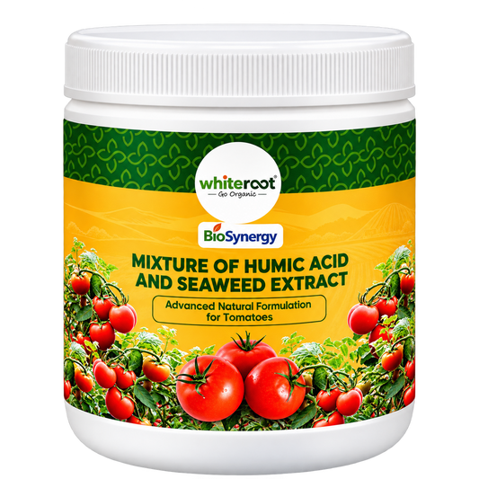 BioSynergy - Mixture of Humic Acid and Seaweed Extract-Advanced Natural Formulation for Tomatoes
